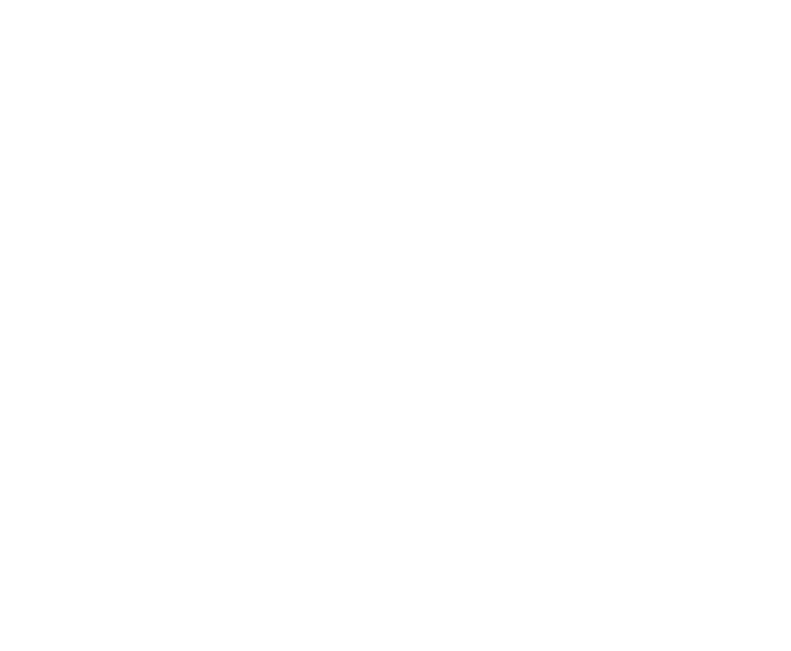 Partner Communications logo pour fonds sombres (PNG transparent)