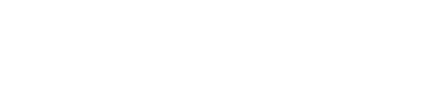 Pattern Group logo fulle size on a dark background (transparent PNG)