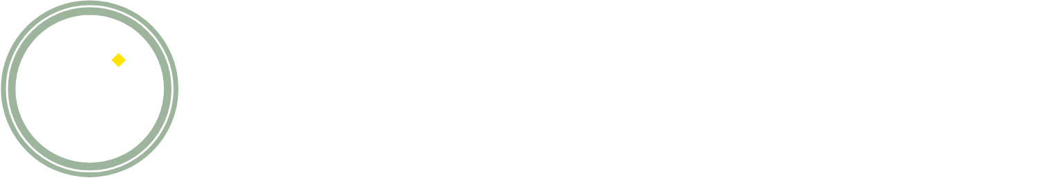 Public Property Invest AS Logo groß für dunkle Hintergründe (transparentes PNG)