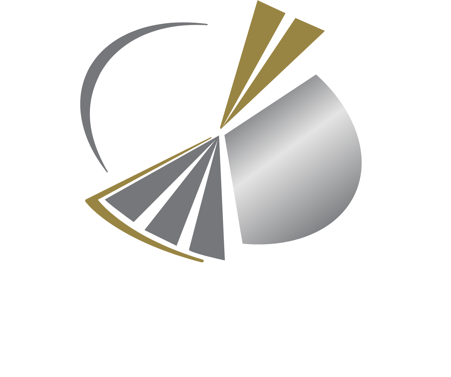 Qatari Investors Group logo fulle size on a dark background (transparent PNG)
