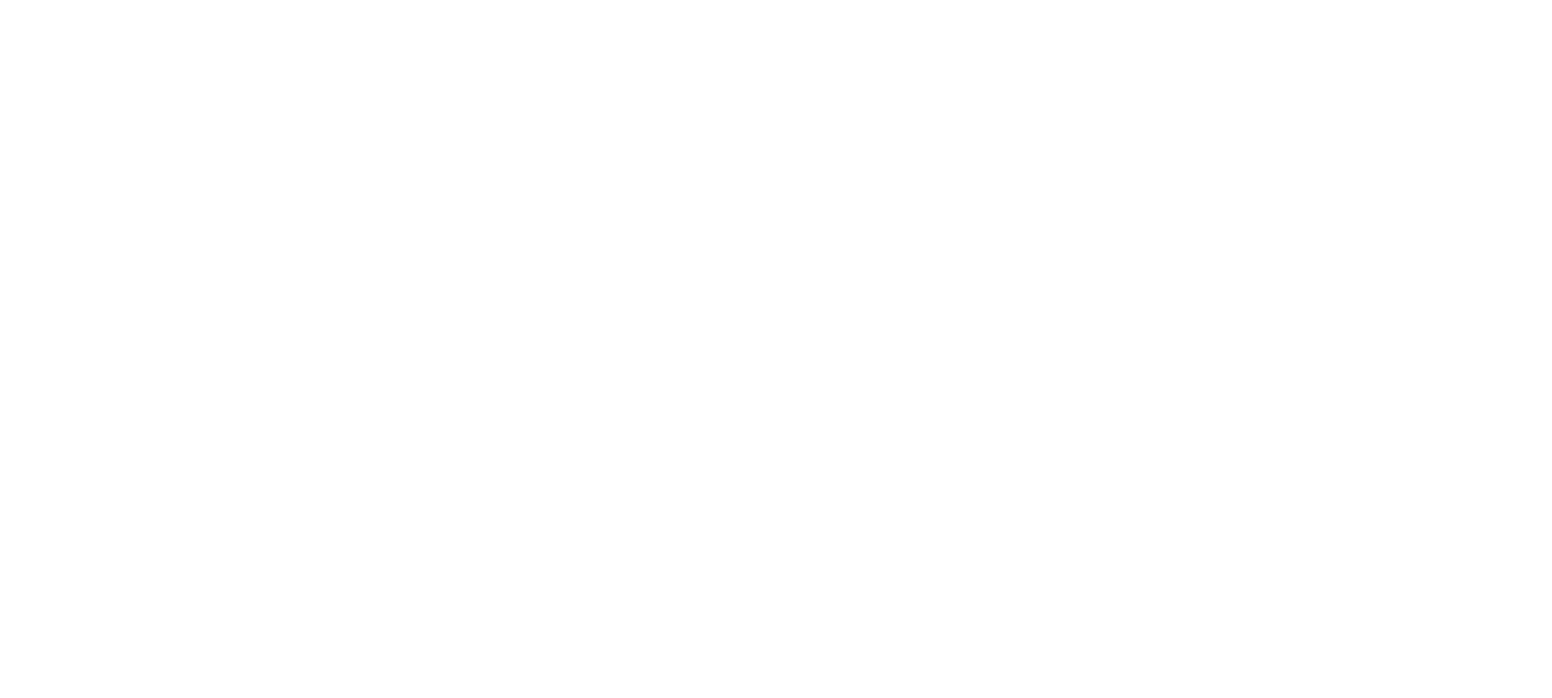 Qiwi logo fulle size on a dark background (transparent PNG)