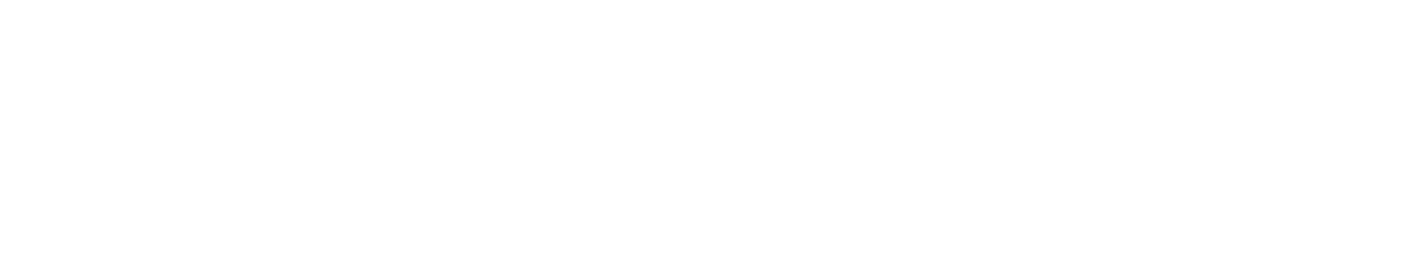 Roche Bobois logo fulle size on a dark background (transparent PNG)