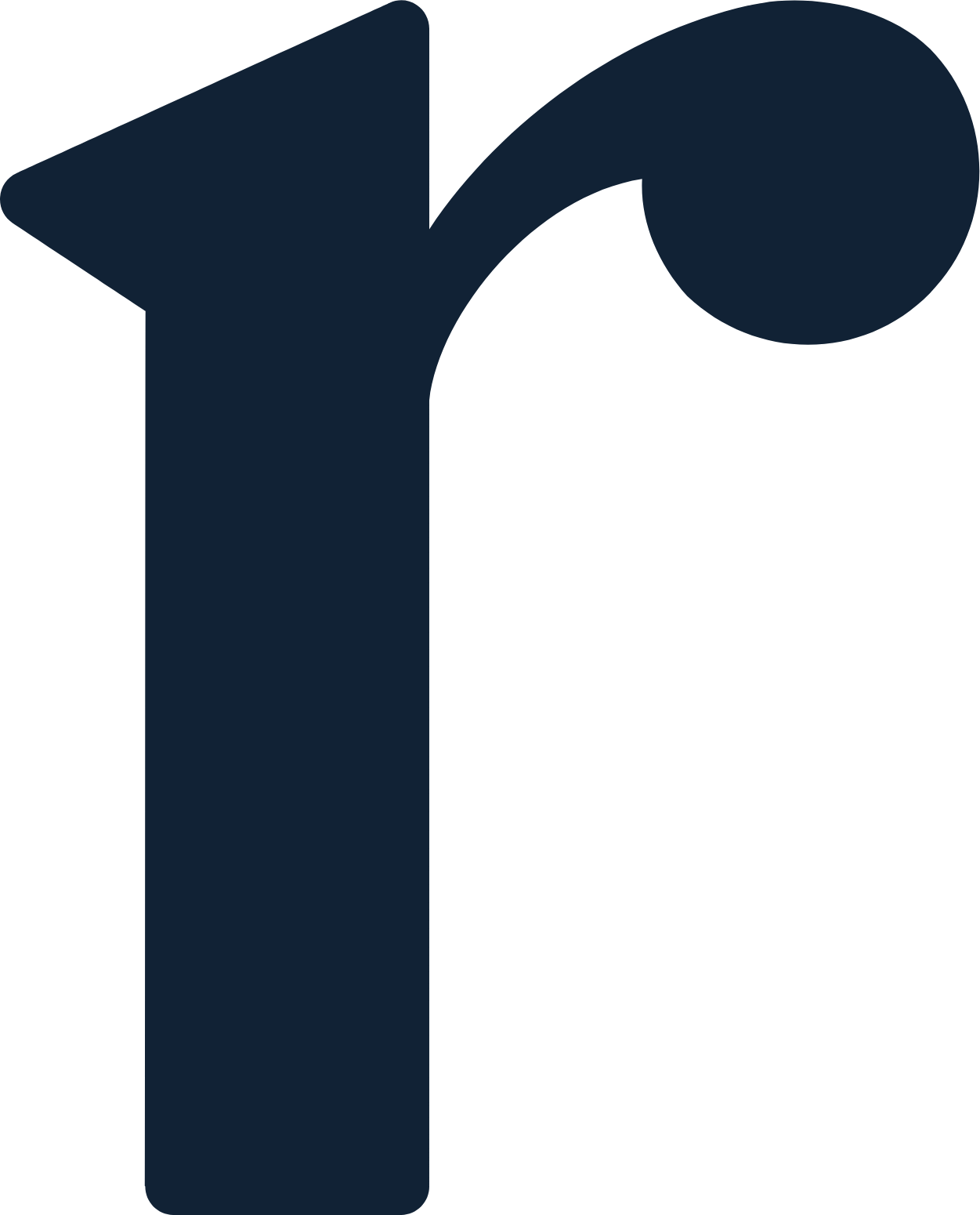 Radian Group
 logo (PNG transparent)