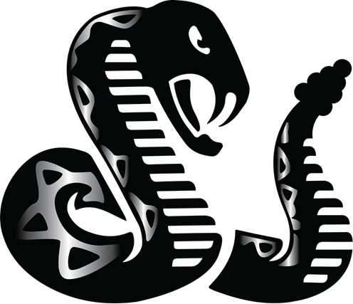 Rattler Midstream
 logo (PNG transparent)