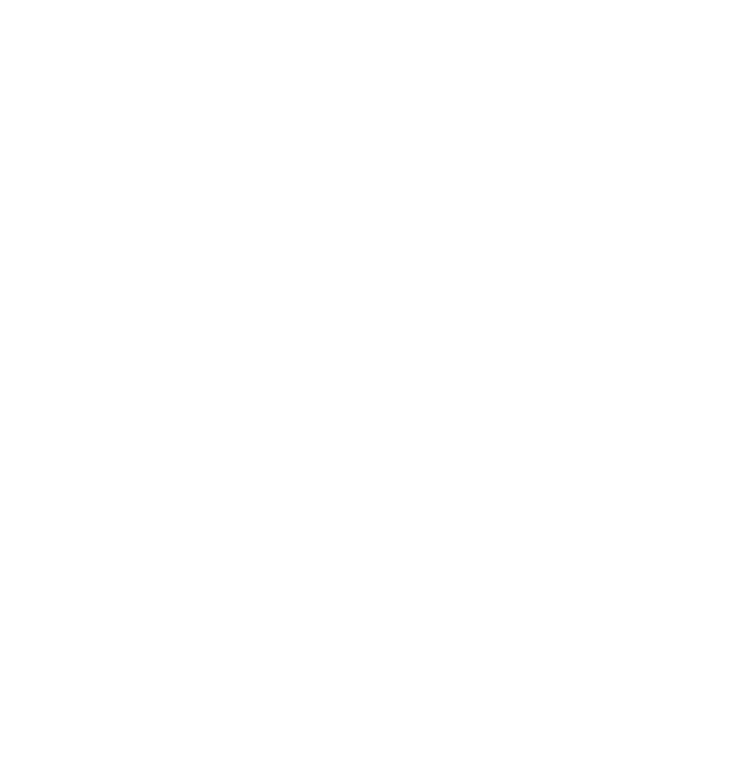 Sabre logo pour fonds sombres (PNG transparent)
