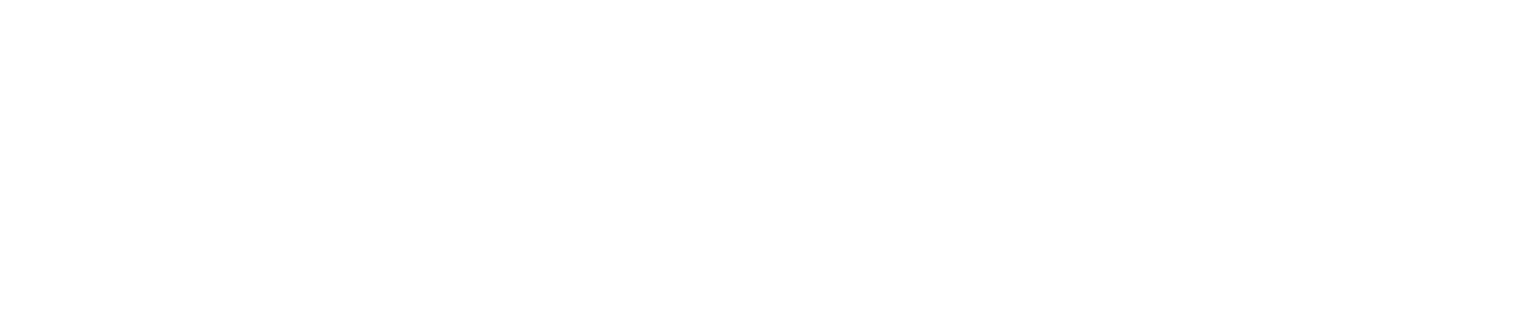 Safety Insurance
 logo grand pour les fonds sombres (PNG transparent)