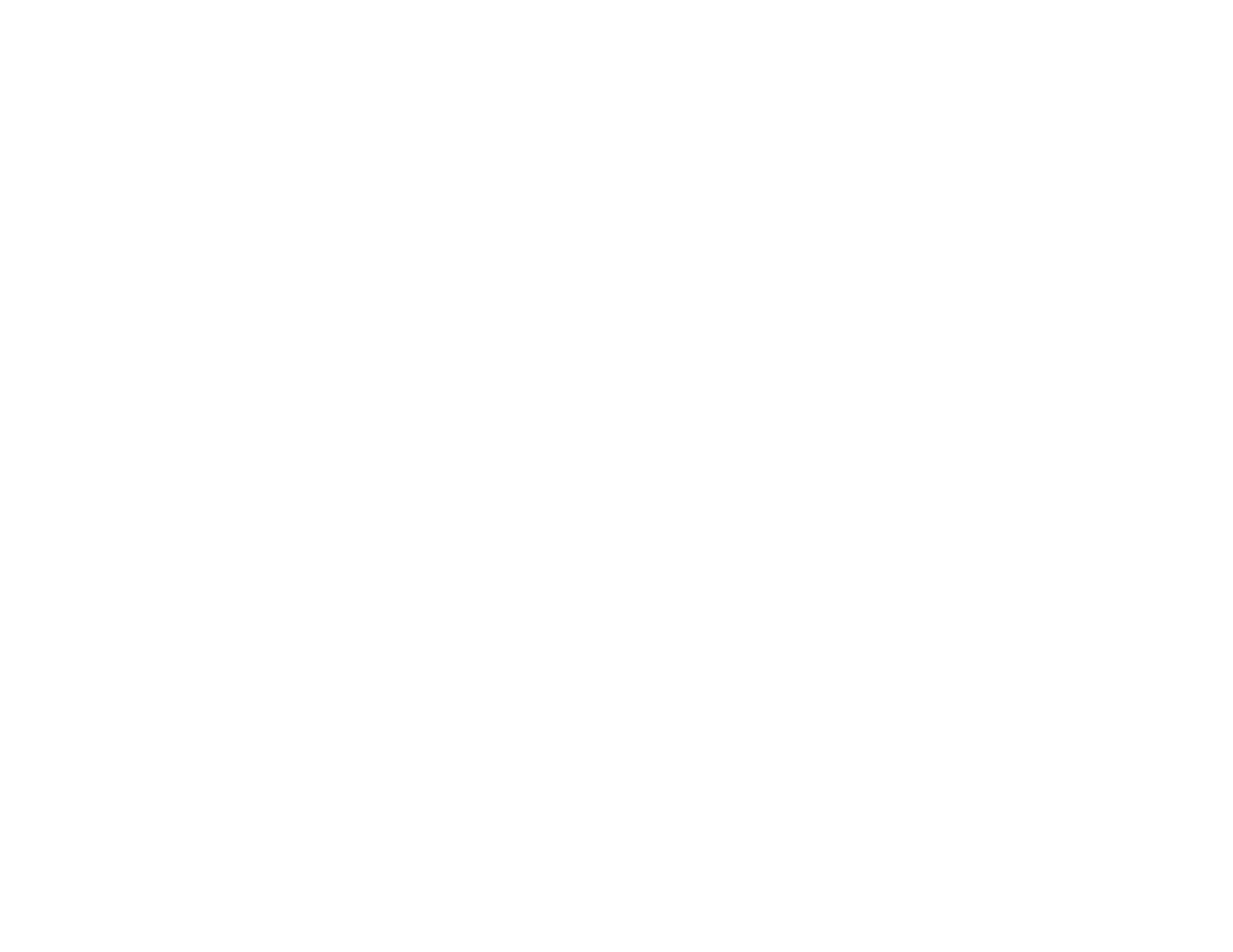 Sonic Automotive
 logo on a dark background (transparent PNG)