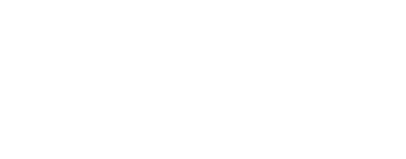 Sonic Automotive
 logo fulle size on a dark background (transparent PNG)