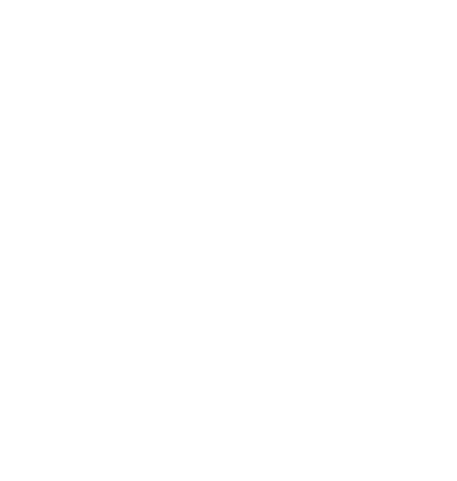 Ströer Logo für dunkle Hintergründe (transparentes PNG)