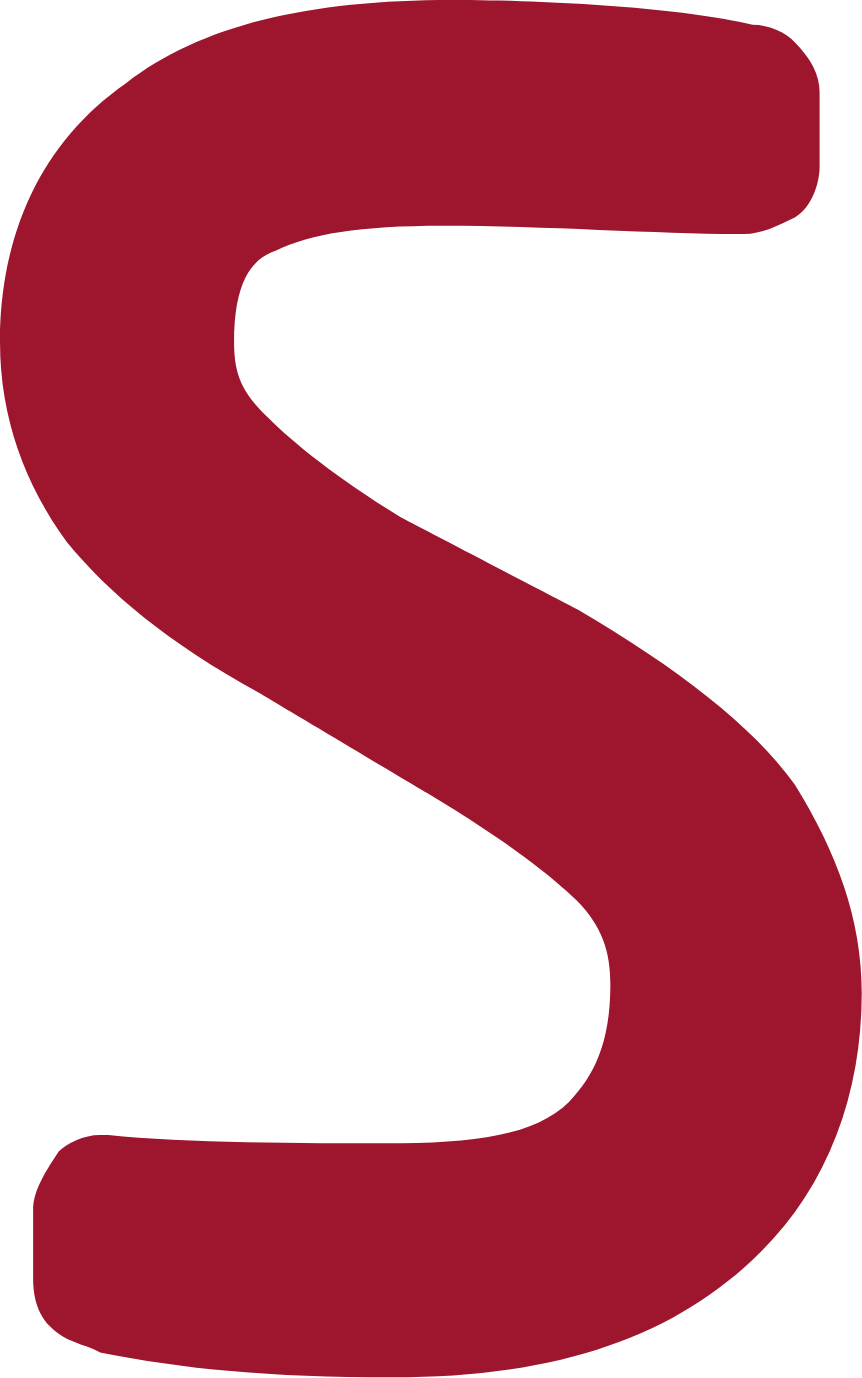 Selvaag Bolig Logo (transparentes PNG)
