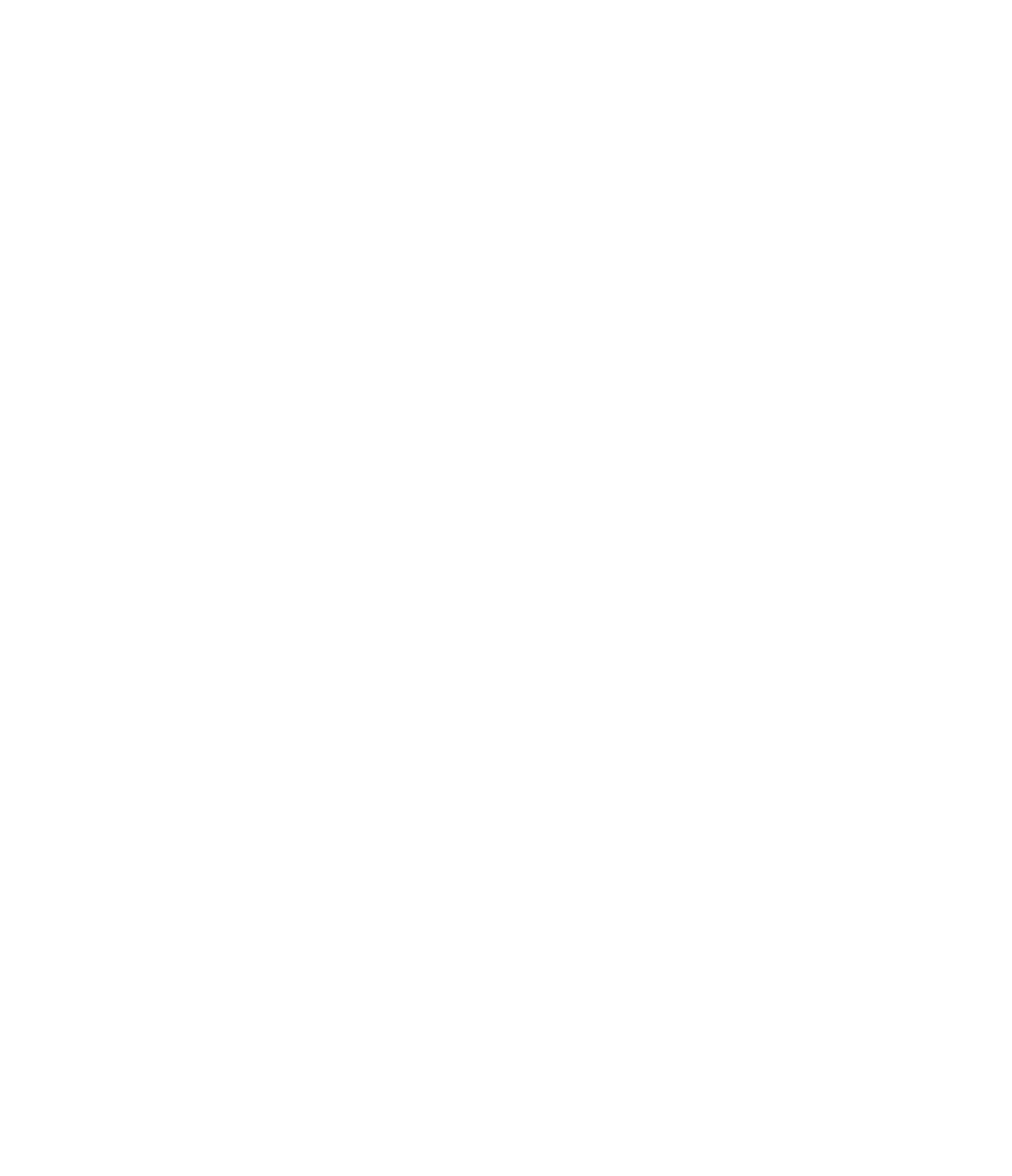 ScanSource Logo für dunkle Hintergründe (transparentes PNG)