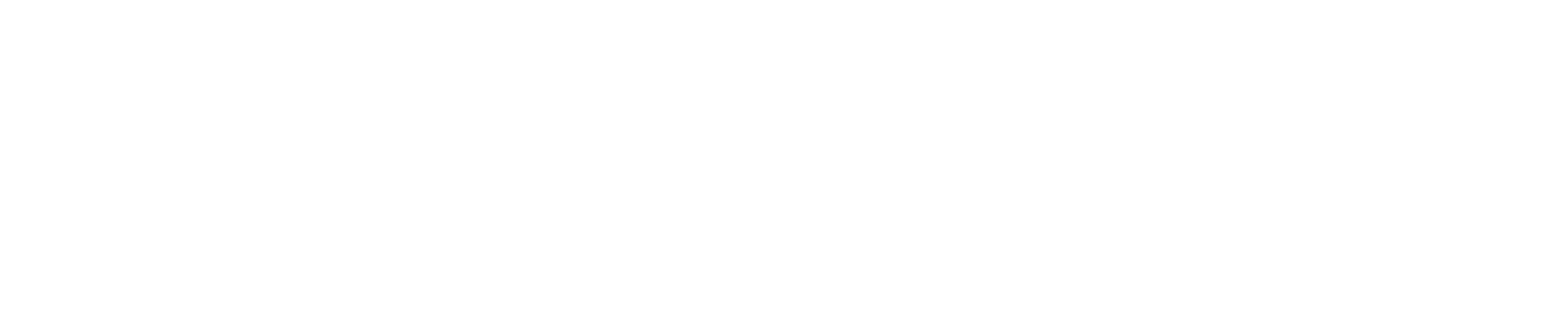 ScanSource Logo groß für dunkle Hintergründe (transparentes PNG)