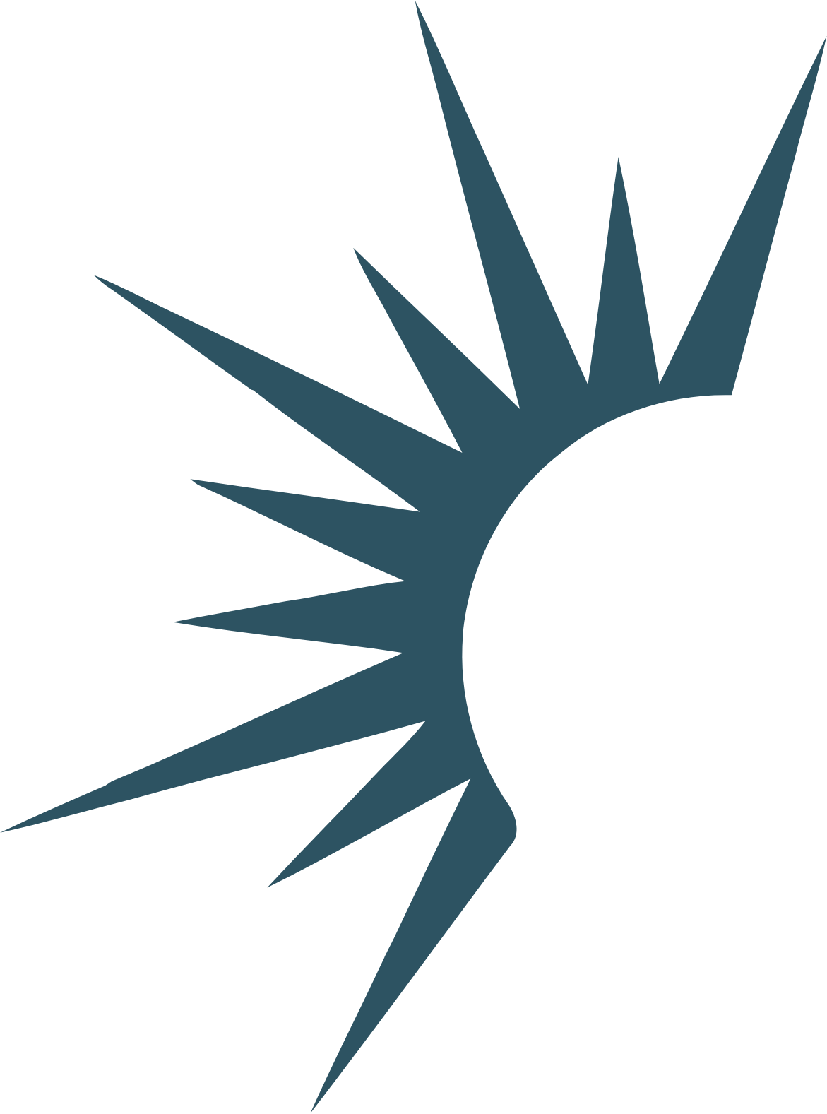 Solaris Energy Infrastructure logo (transparent PNG)