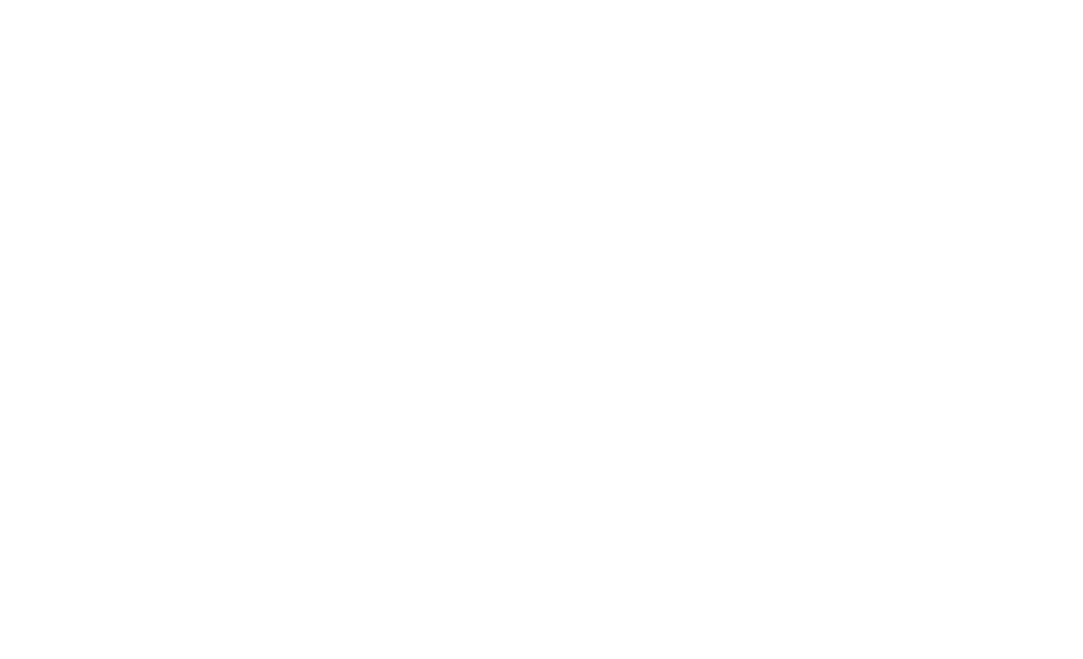 Sheela Foam
 Logo für dunkle Hintergründe (transparentes PNG)