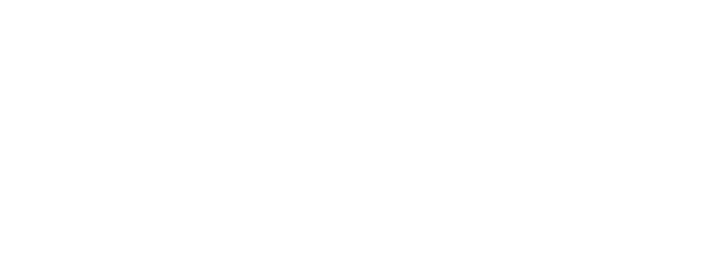 SkyWest Logo für dunkle Hintergründe (transparentes PNG)