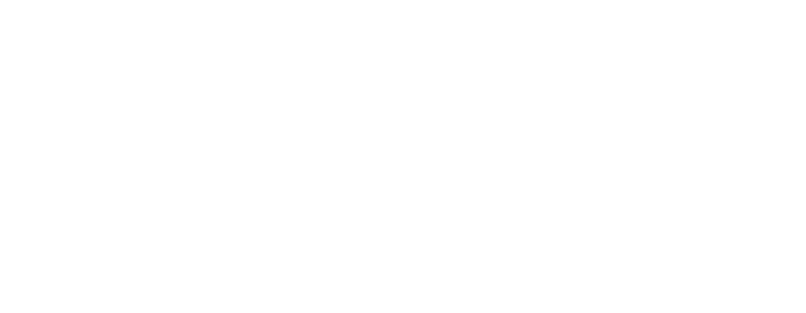Sallie Mae logo fulle size on a dark background (transparent PNG)