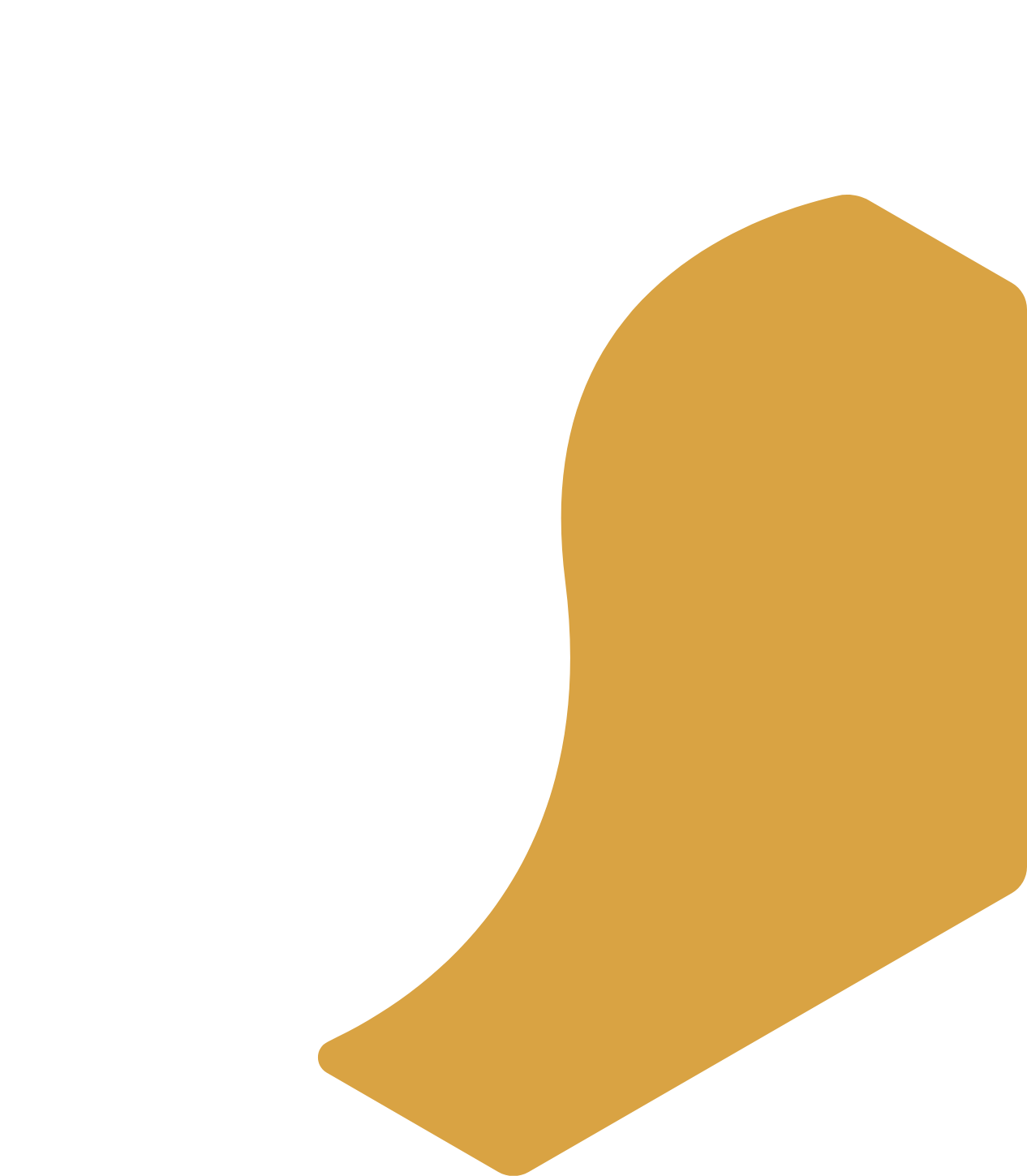South Bow logo on a dark background (transparent PNG)