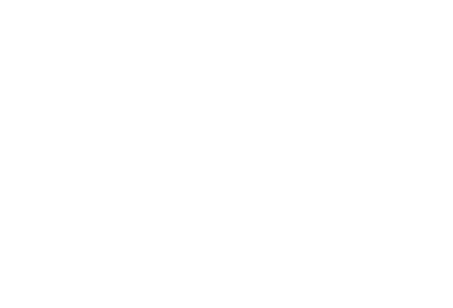 Sonim Technologies
 Logo für dunkle Hintergründe (transparentes PNG)