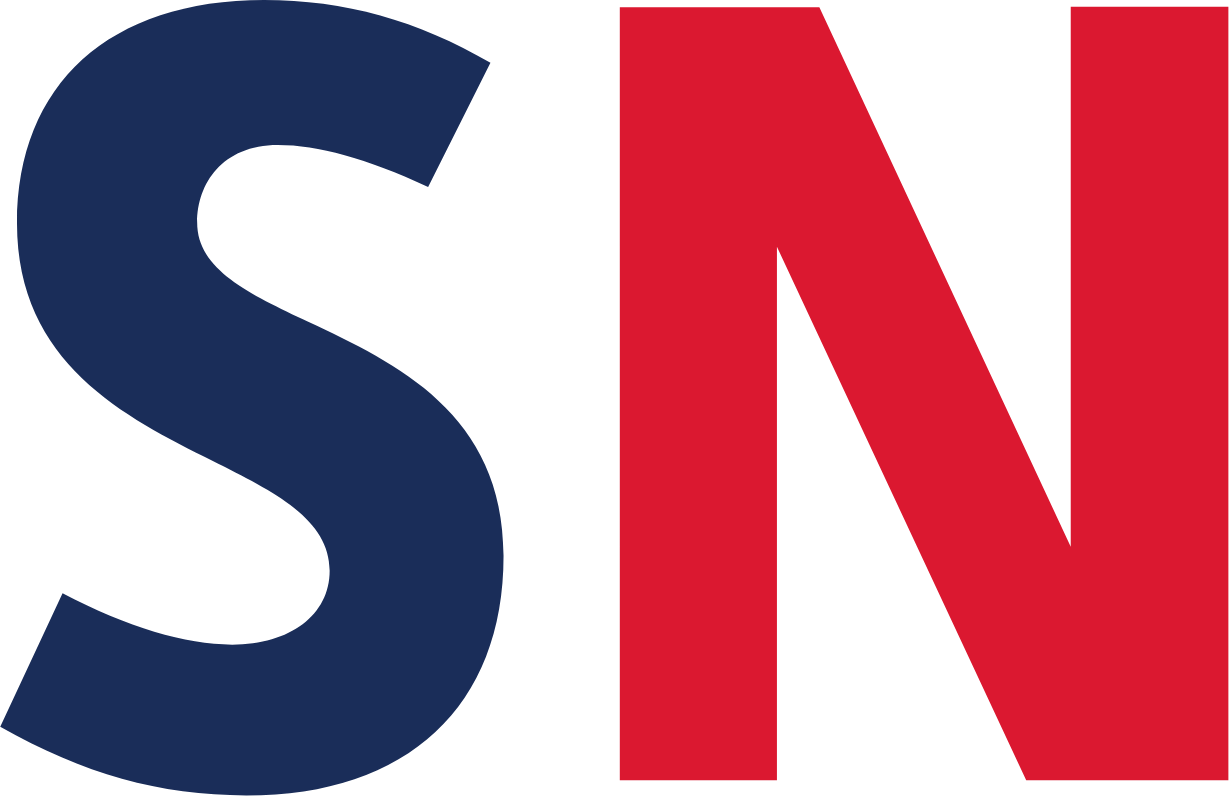 Springer Nature AG logo (transparent PNG)