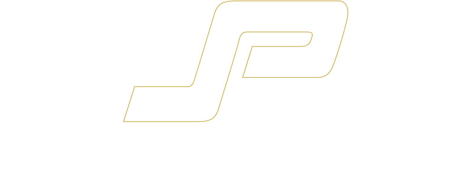 South Port NZ Logo groß für dunkle Hintergründe (transparentes PNG)