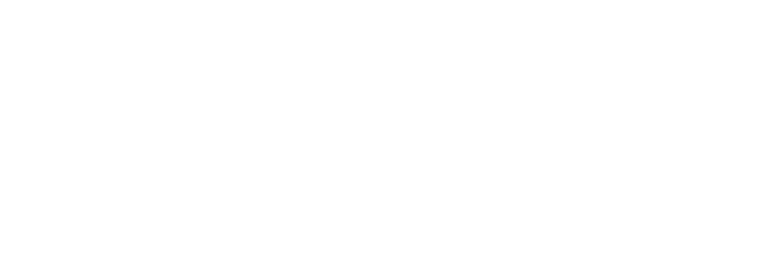 Spar Nord Bank A/S logo fulle size on a dark background (transparent PNG)