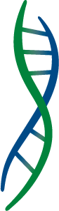 SeqLL logo (transparent PNG)