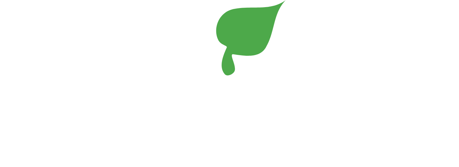 STEICO SE logo fulle size on a dark background (transparent PNG)