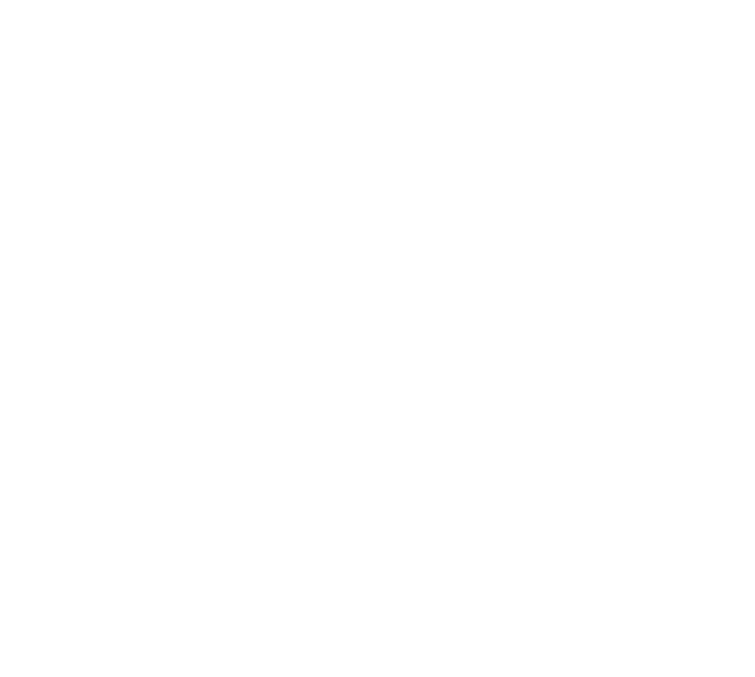 Stora Enso
 logo fulle size on a dark background (transparent PNG)
