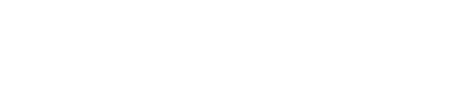 Straumann
 logo grand pour les fonds sombres (PNG transparent)