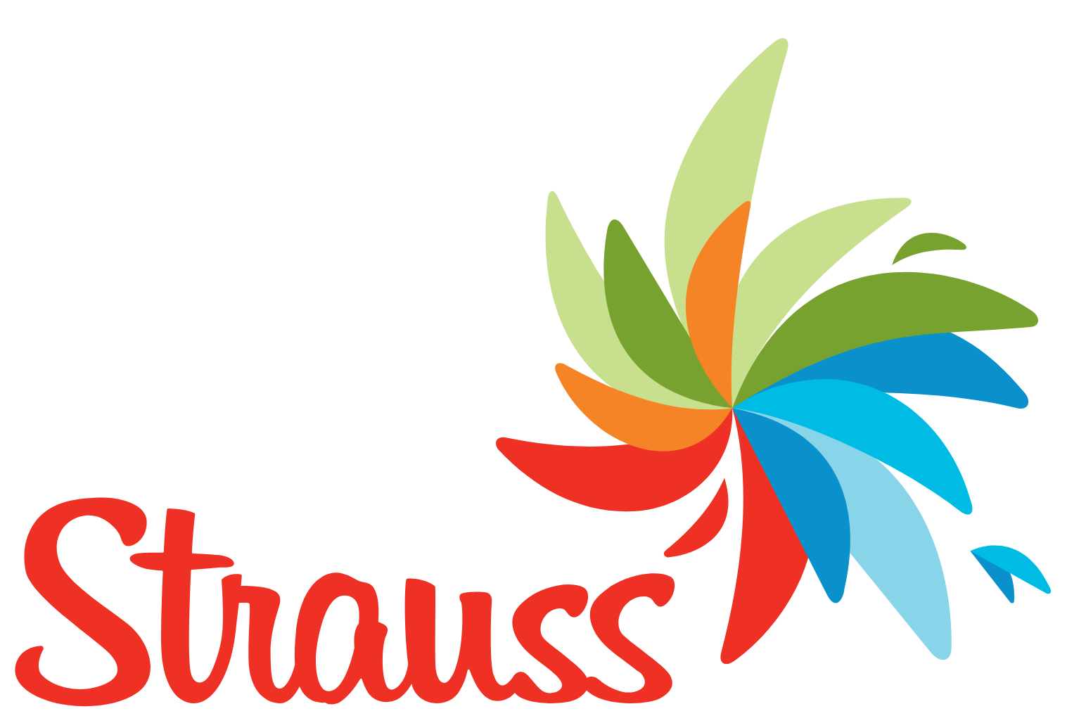 Strauss Group
 logo grand pour les fonds sombres (PNG transparent)