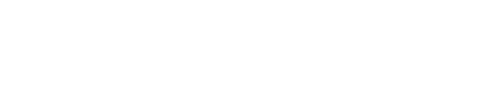 Stevanato logo fulle size on a dark background (transparent PNG)