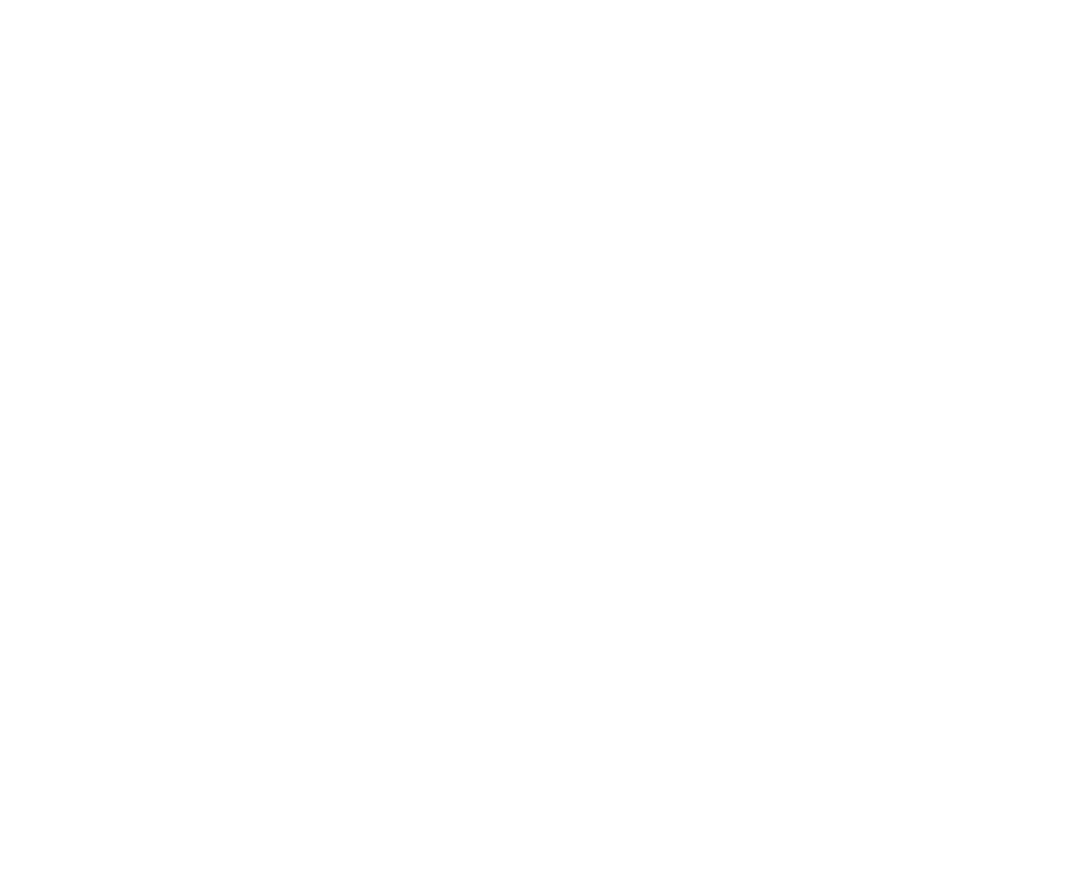 Swvl Holdings logo pour fonds sombres (PNG transparent)
