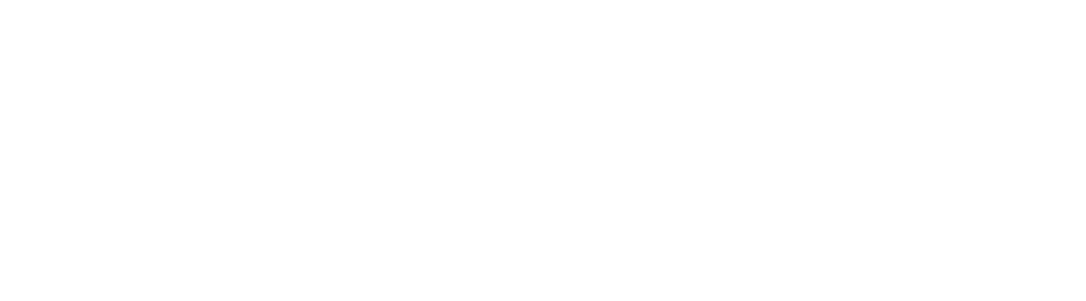 Swvl Holdings logo grand pour les fonds sombres (PNG transparent)