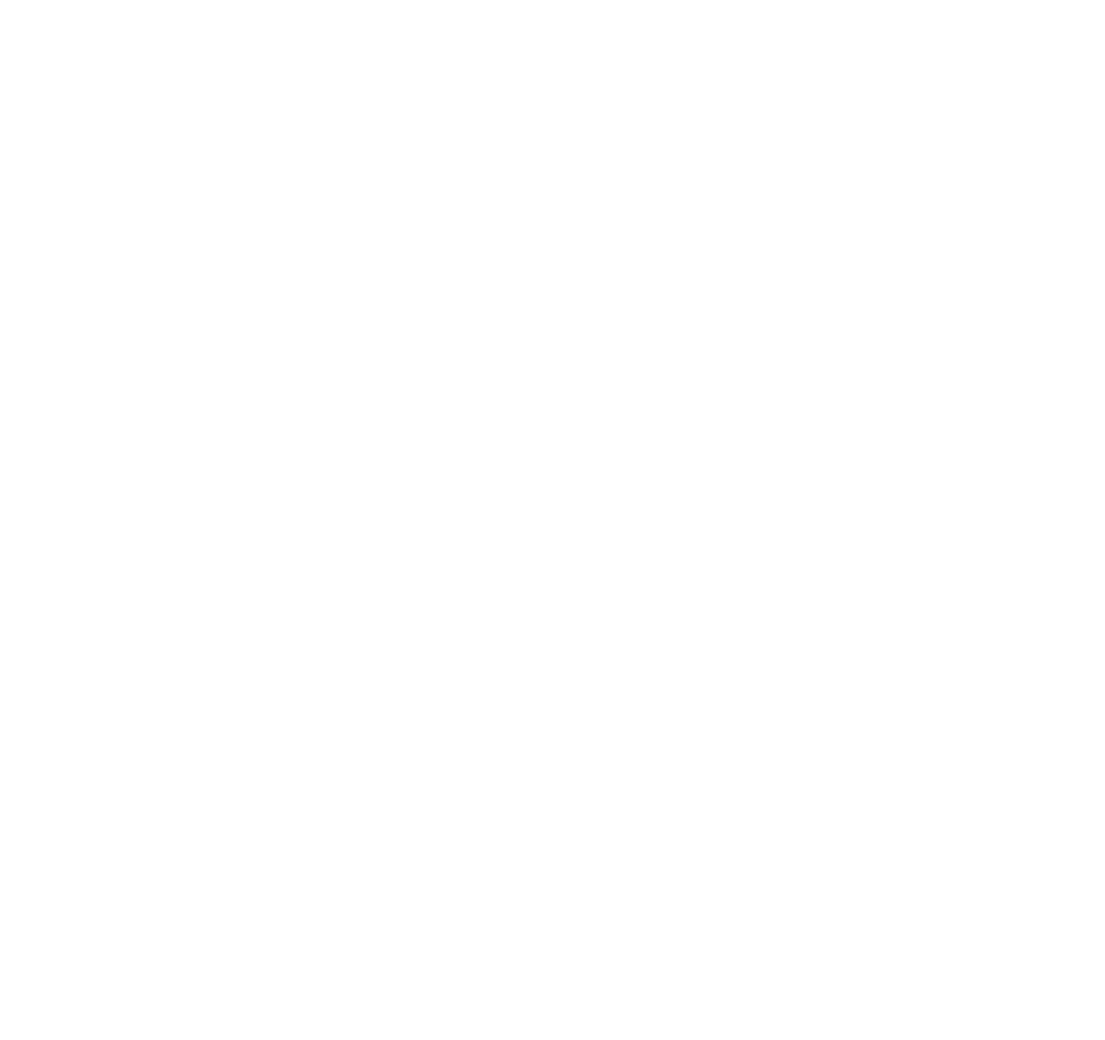 Tiger Brands logo on a dark background (transparent PNG)