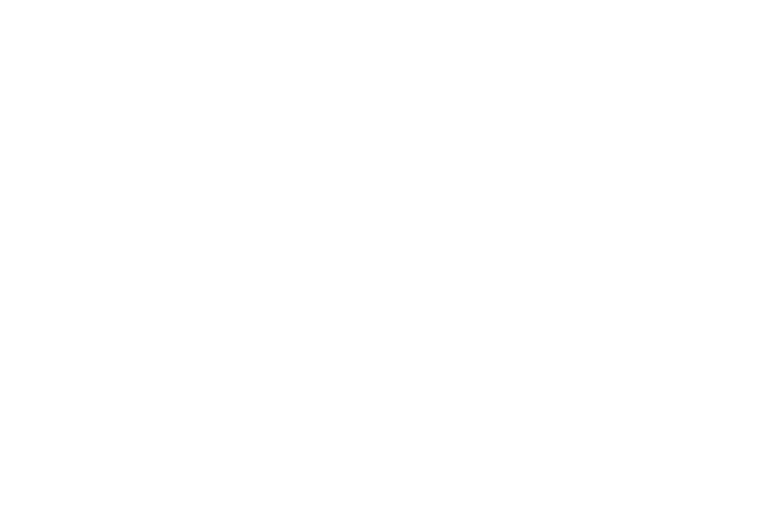 Teleflex logo for dark backgrounds (transparent PNG)