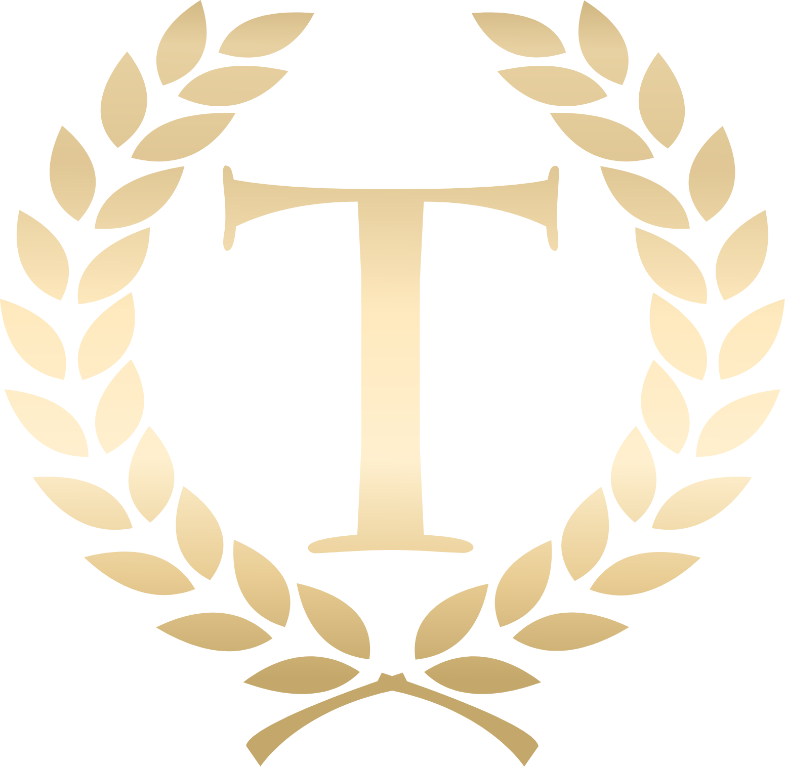TowneBank
 logo on a dark background (transparent PNG)