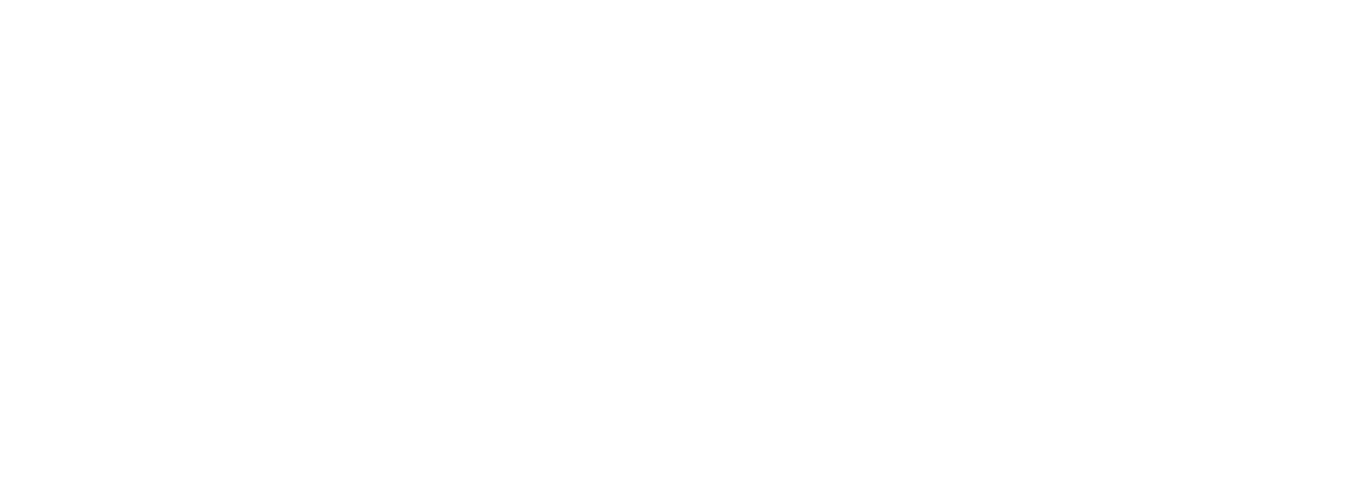 Ternium Argentina logo fulle size on a dark background (transparent PNG)