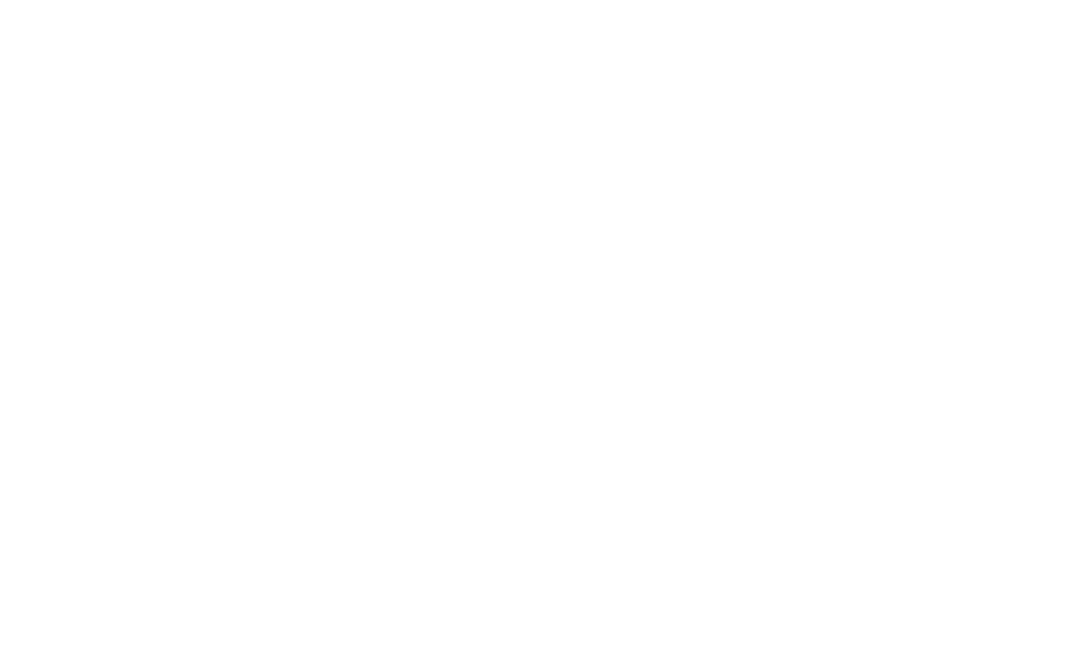 Nokian Tyres
 logo on a dark background (transparent PNG)