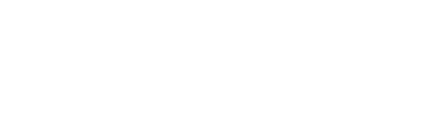 Nokian Tyres
 logo fulle size on a dark background (transparent PNG)