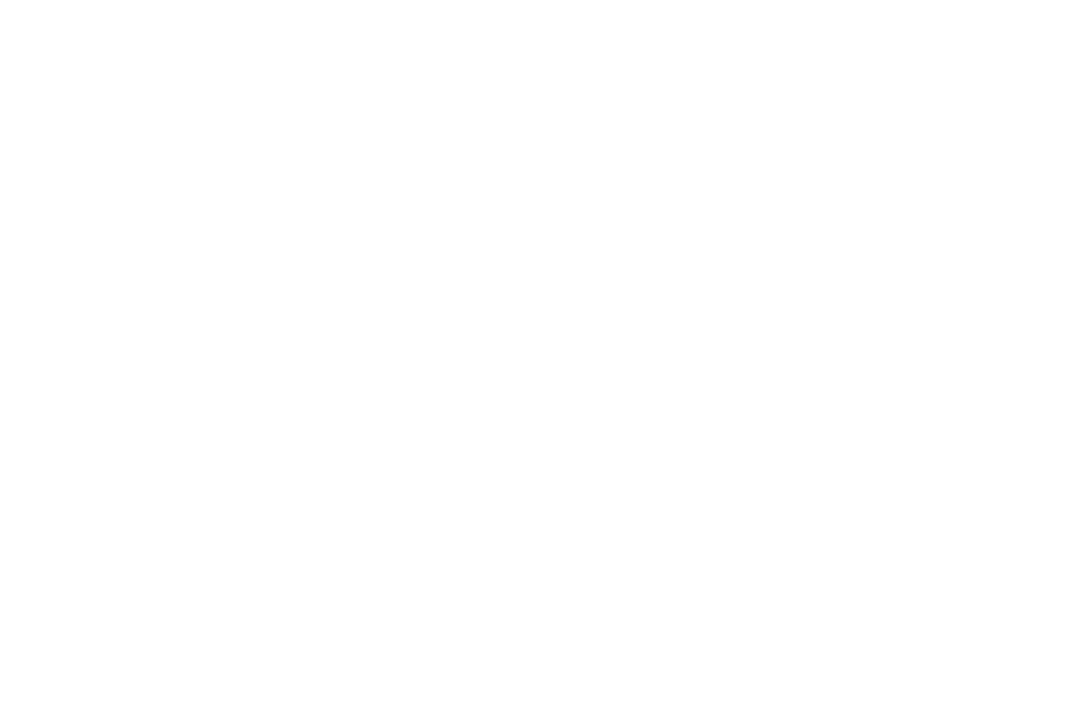 Value Line logo fulle size on a dark background (transparent PNG)