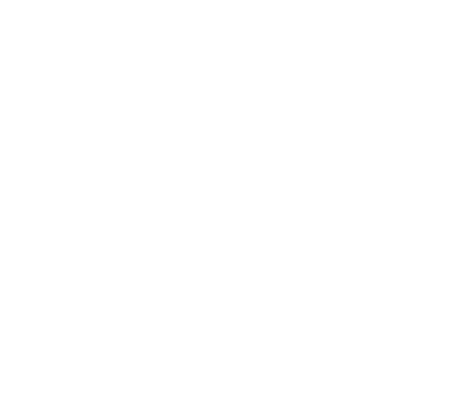 Varun Beverages
 logo on a dark background (transparent PNG)