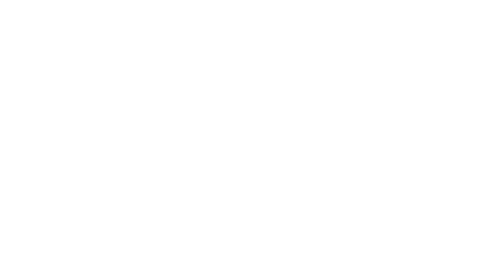 Veru logo fulle size on a dark background (transparent PNG)
