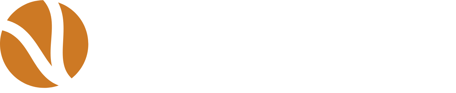Versigent logo fulle size on a dark background (transparent PNG)