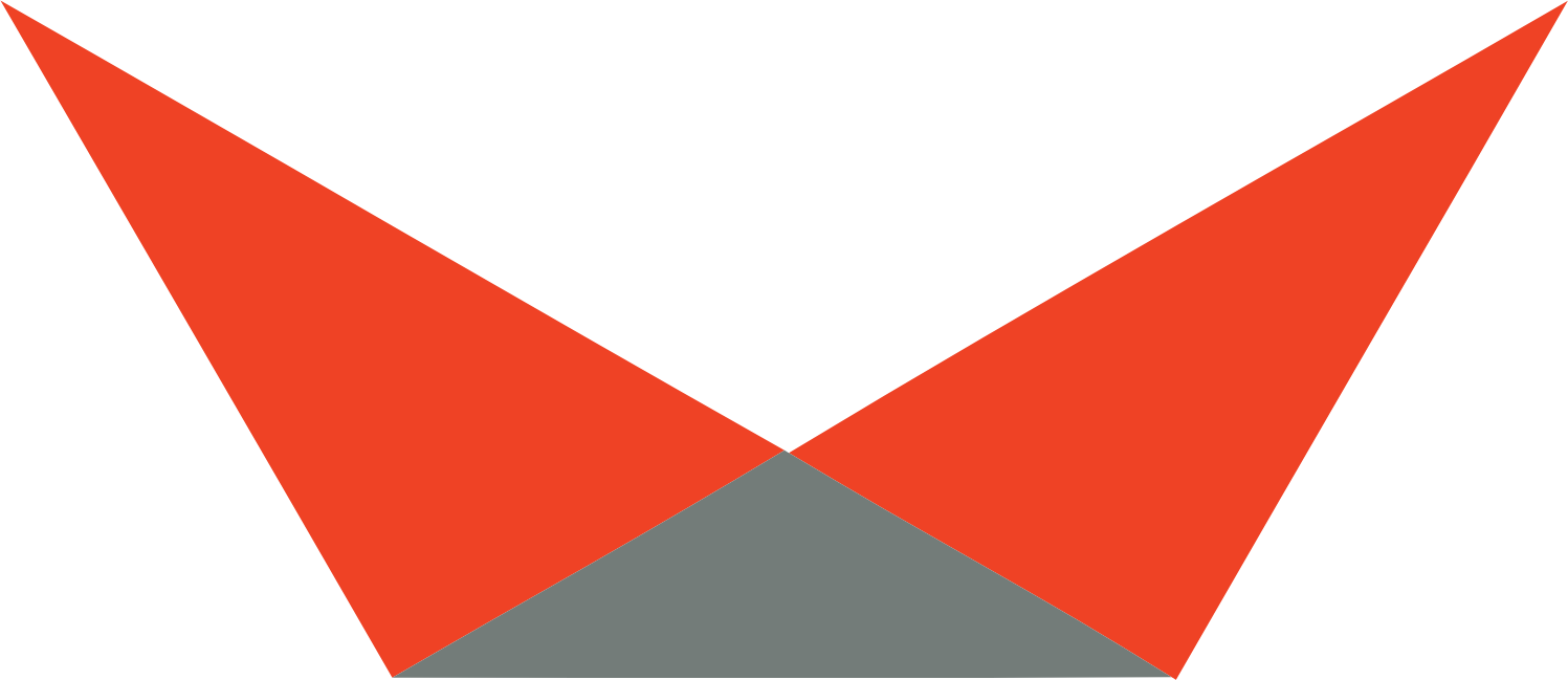 Viking Therapeutics
 logo (transparent PNG)