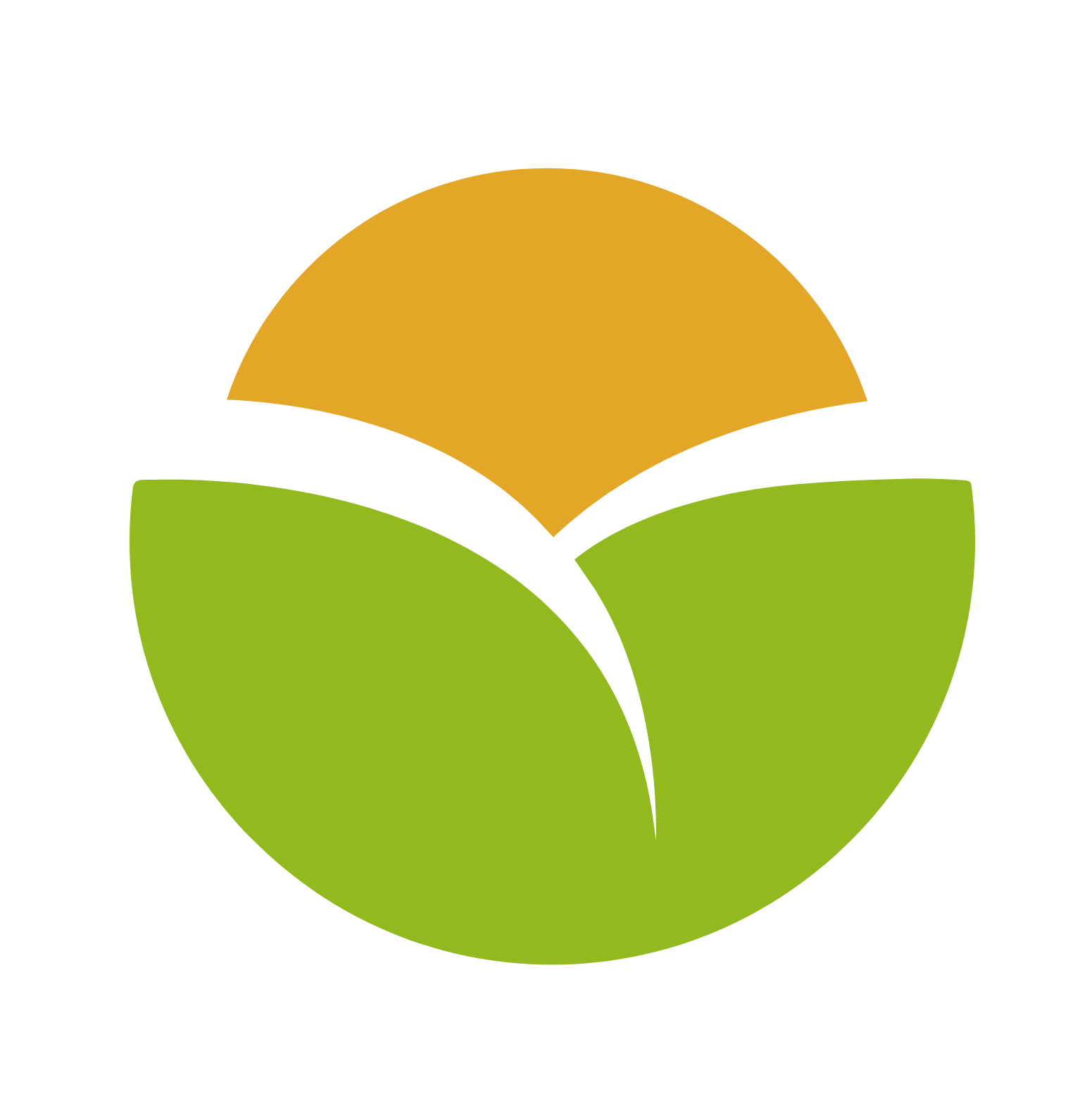Valsoia S.p.A. logo on a dark background (transparent PNG)