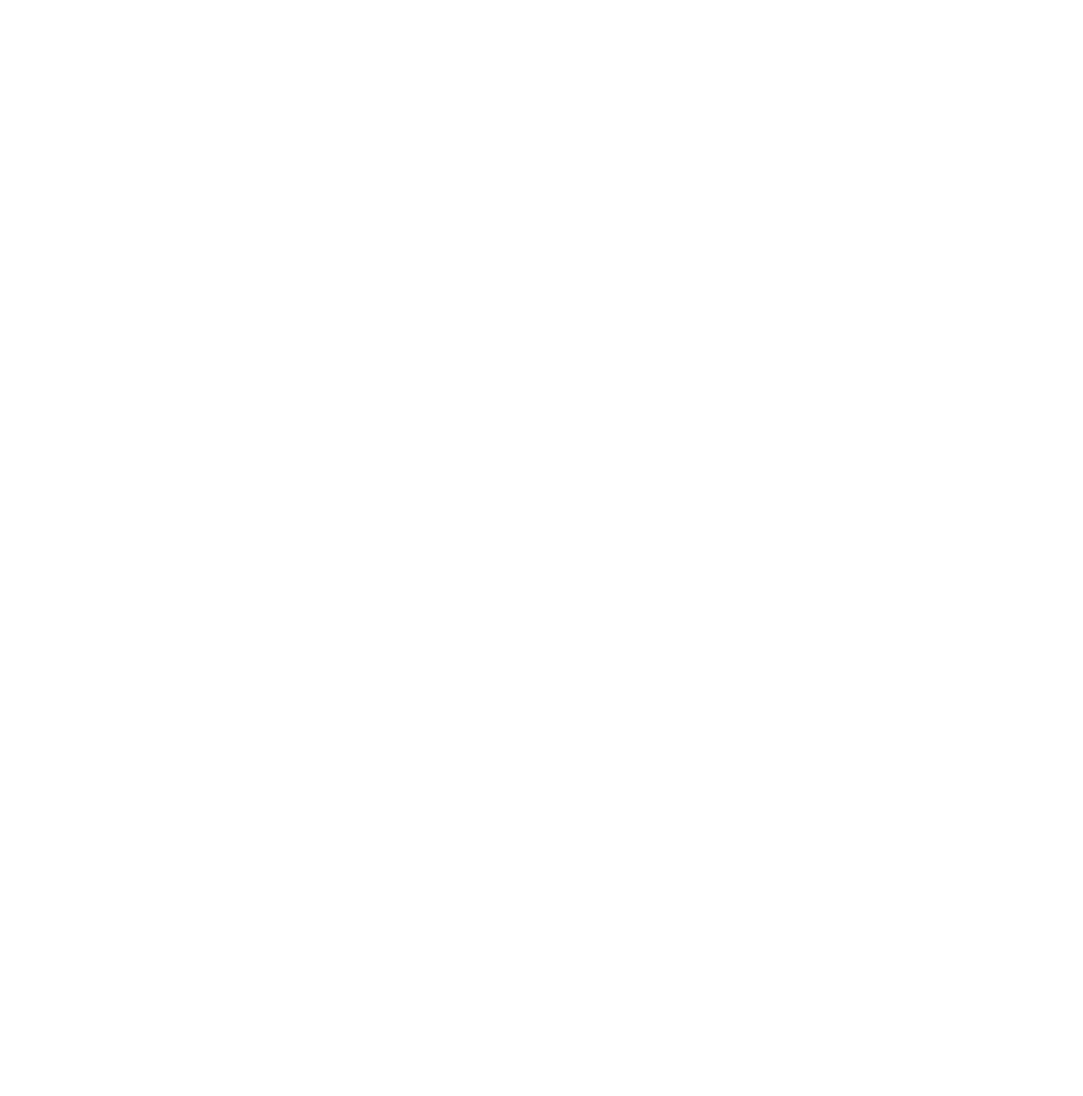 Verint Systems
 logo on a dark background (transparent PNG)