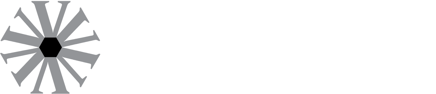 Virtus Investment Partners logo fulle size on a dark background (transparent PNG)