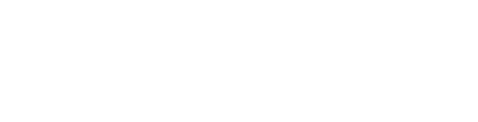 Vizsla Silver logo fulle size on a dark background (transparent PNG)