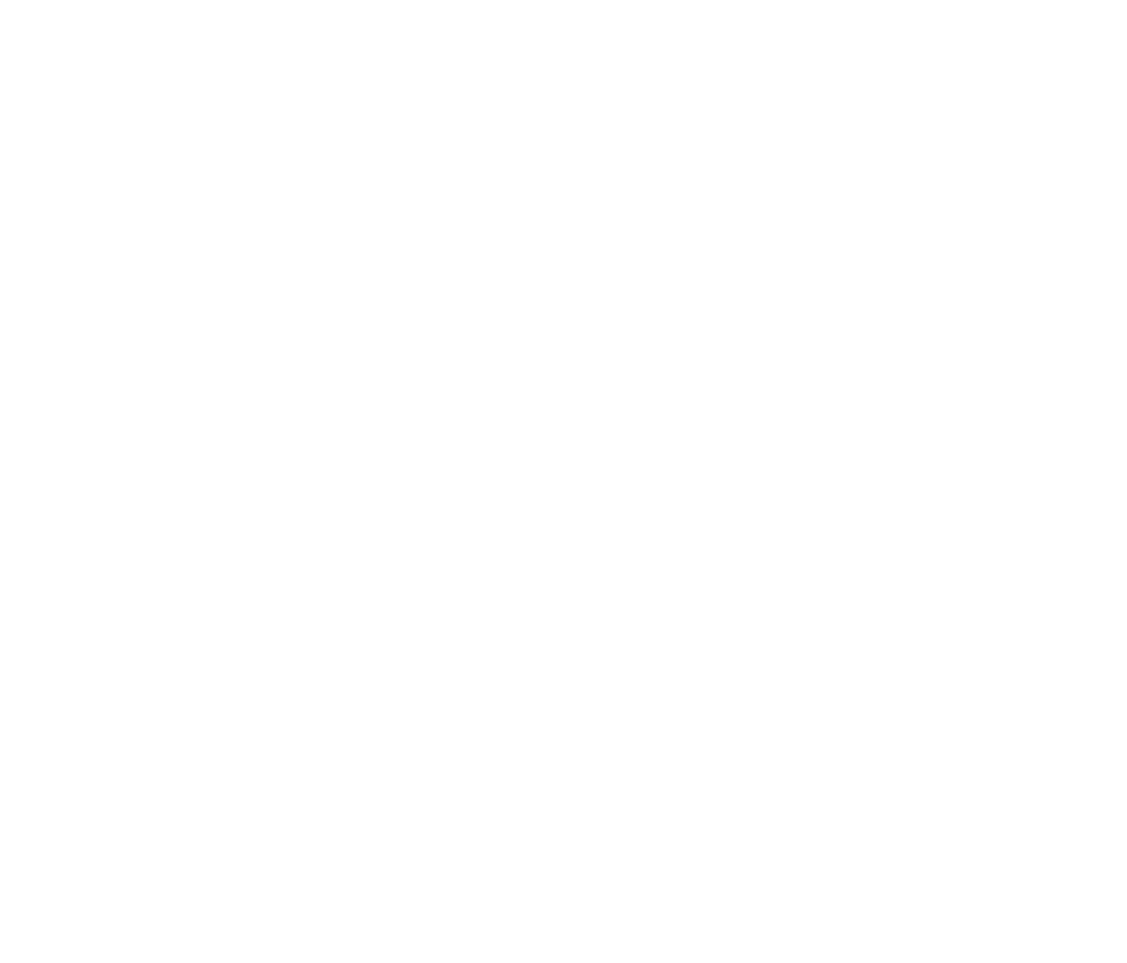 W5 Solutions AB Logo für dunkle Hintergründe (transparentes PNG)