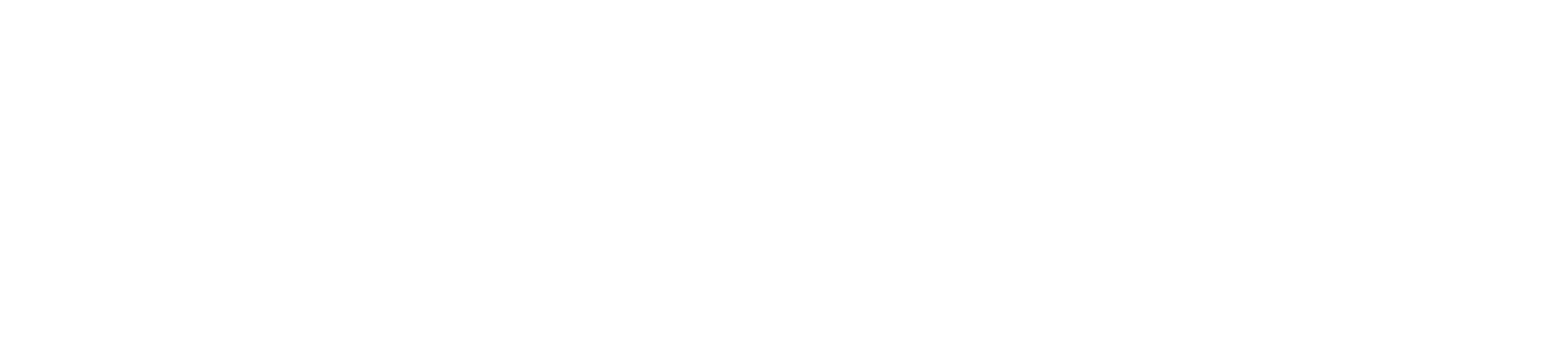 Wallbox logo fulle size on a dark background (transparent PNG)